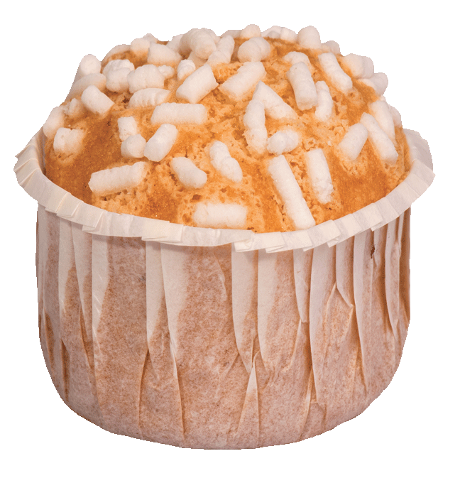 MUFFIN-1